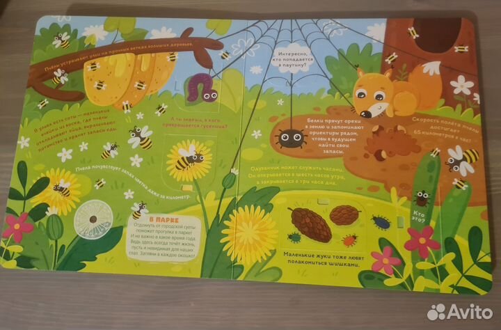 Что мы видим в микроскоп Книга с окошками