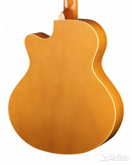 Акустическая гитара Ramis RA-A01C