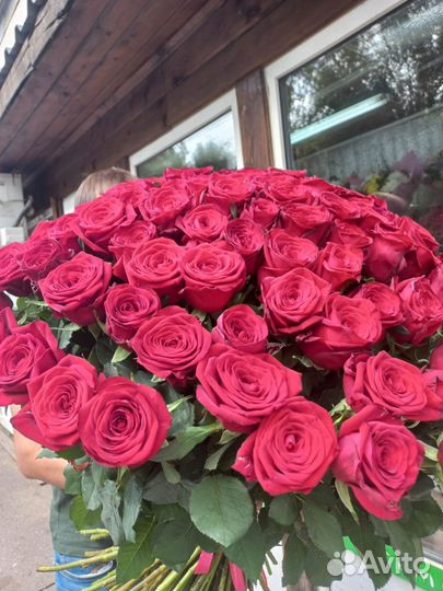 101 роза букеты Доставка