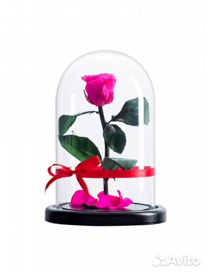 Роза в колбе Фуксия (малиновый) магазин