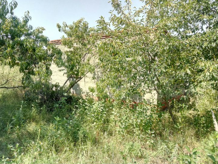 Участок 6 сот. (ИЖС)