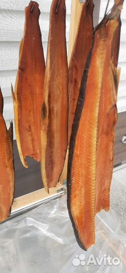 Рыба холодного копчения кета