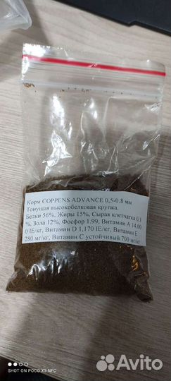Рыбки Гуппи, Корма coppens, растения, фильтра