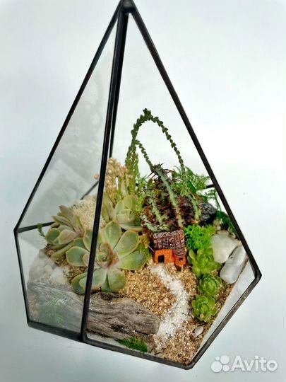 Флорариумы с суккулентами