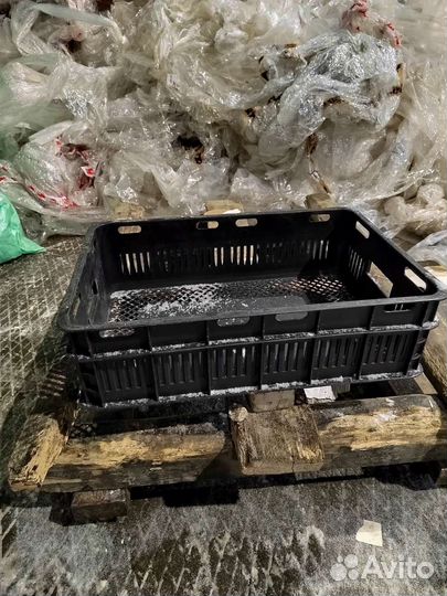 Пластиковые ящики для хранения бу