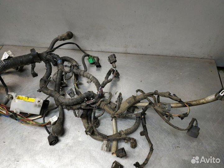 Проводка двс Nissan Qashqai+2 JJ10E MR20DE 2010