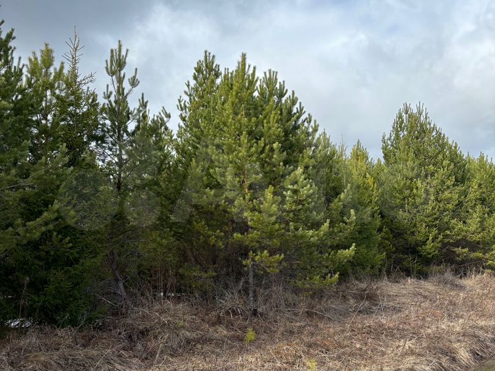 Участок 18,7 сот. (ИЖС)