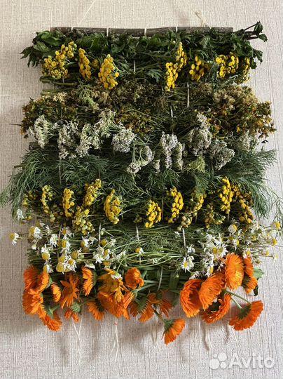 Травяное панно