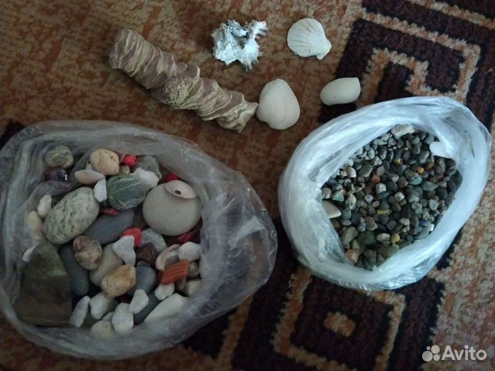 Аквариумная мелочь