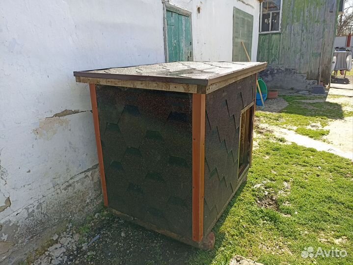 Собачья будка