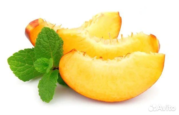 Мята сортовая коллекционная