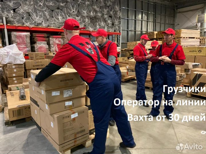 Грузчик с ежедневной оплатой