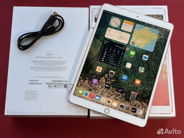 iPad Pro 10.5 256gb + Стилус + Procreate
