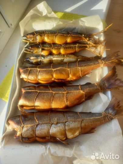 Рыба горячего копчения