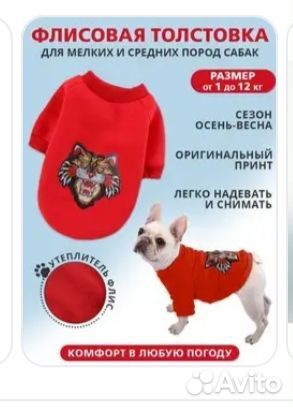 Одежда для собак
