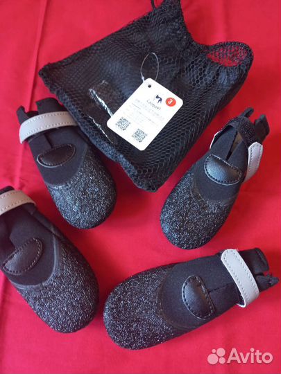 Одежда для животных