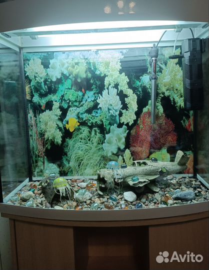 Аквариум с тумбой 170 литров
