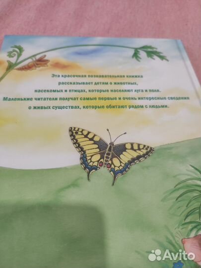 Новая книга детская