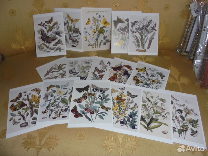 Бабочки Европы Наб 15 открыток