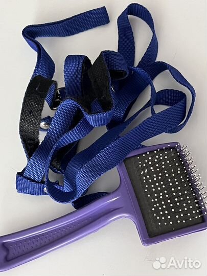 Расческа для кошек и поводок