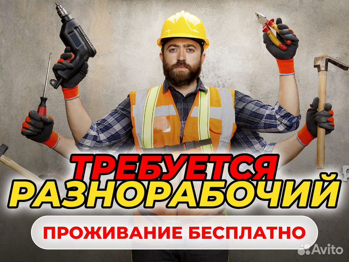 Разнорабочие: срочный набор