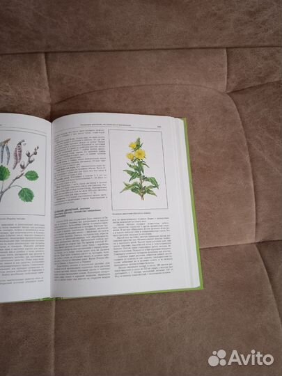 Сборник лекарственных растений