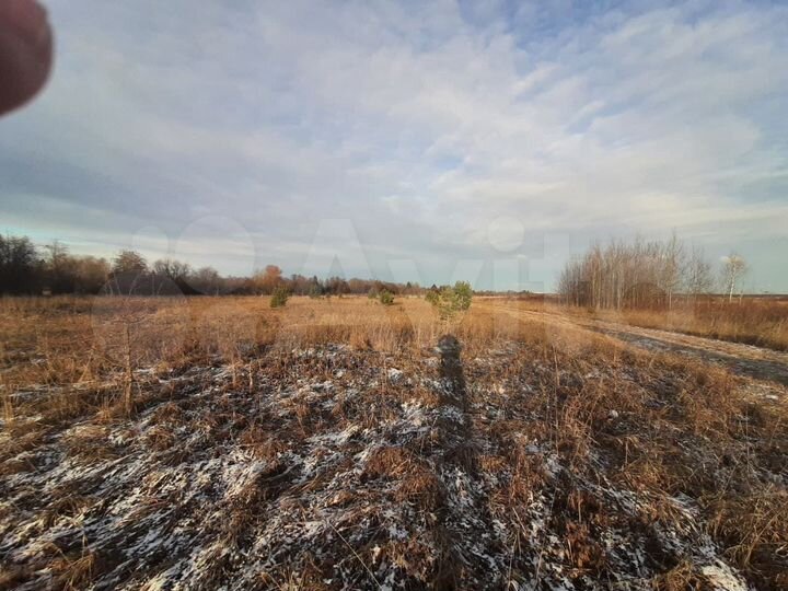 Участок 10 сот. (ИЖС)