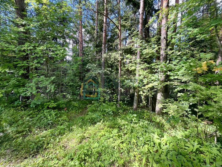 Участок 14,5 сот. (ИЖС)