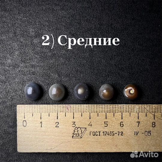 Зубы Pycnodus sp. окаменелость ископаемое