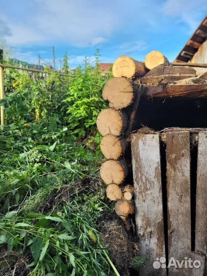 Дрова бесплатно самовывоз