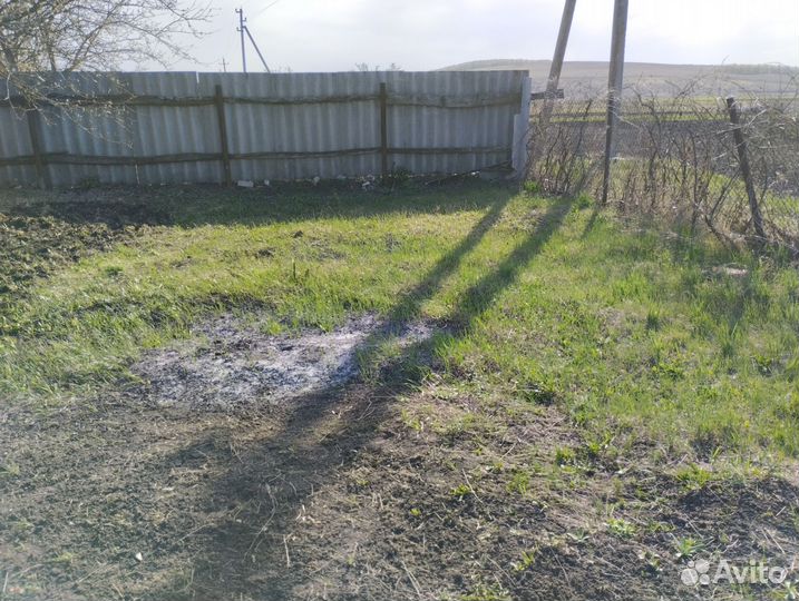 Спил деревьев