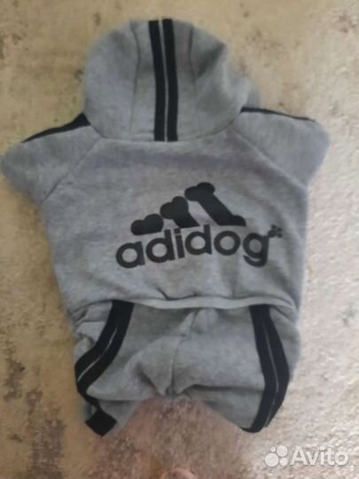 Спортивный костюм для собаки