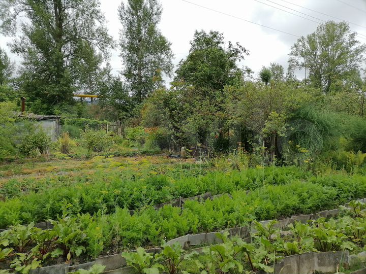 Дача 31,1 м² на участке 6,4 сот.