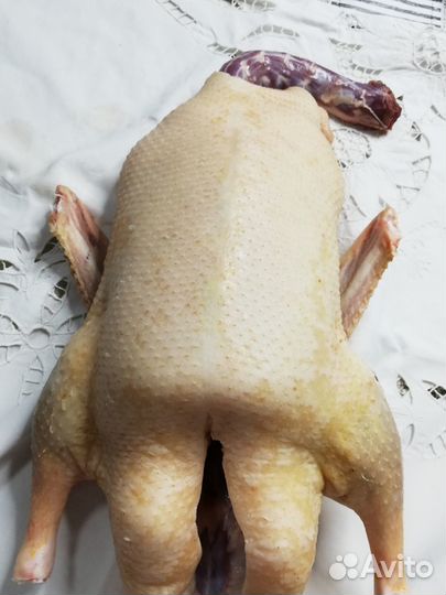 Продам мясо бройлерной утки