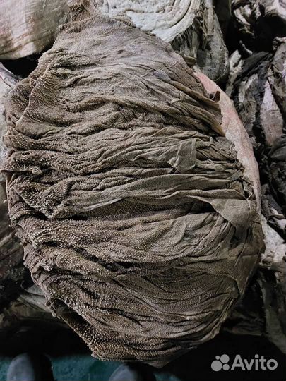 Книжка говяжья