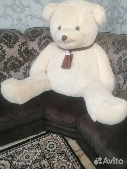 Большие плюшевые медведи