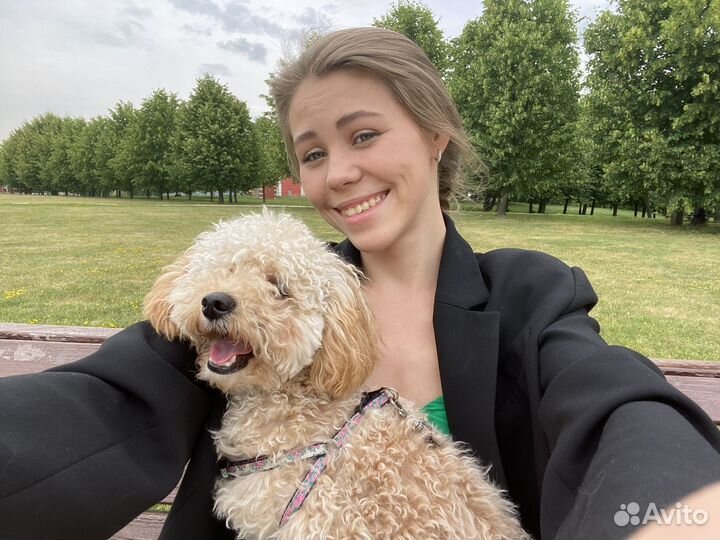 Передержка животных