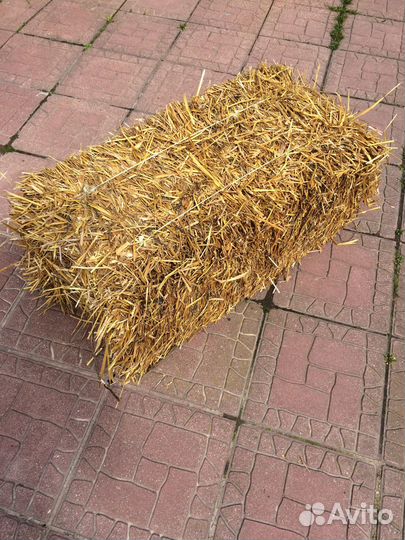 Сено в тюках для Декора, Животных и Мульчирования