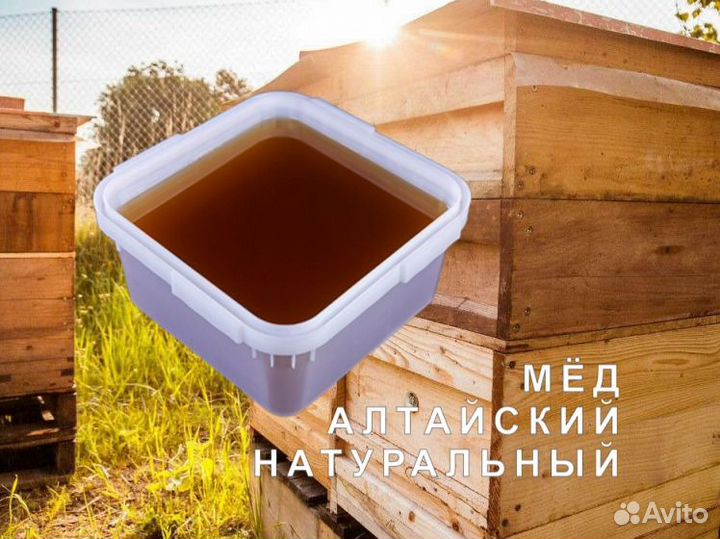 Мед натуральный с Алтая опт