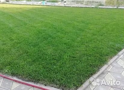 Газон рулонный гарантия