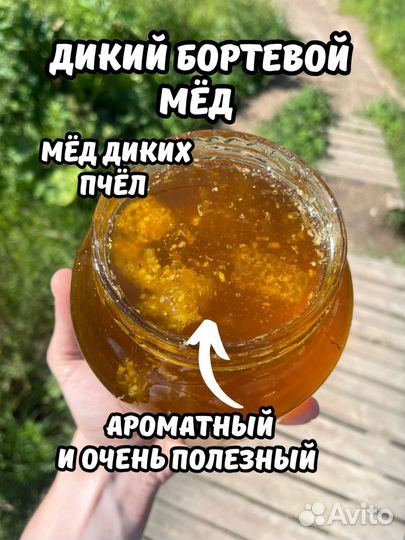 Невкусный Дикий мед
