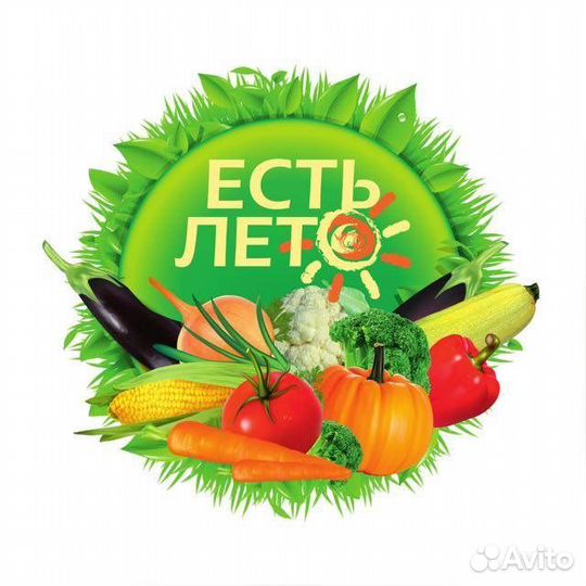 Водитель-экспедитор категории В