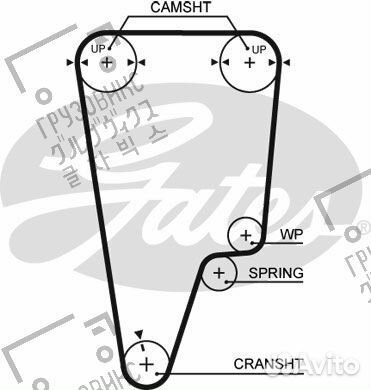 Ремень грм, Gates 5505XS
