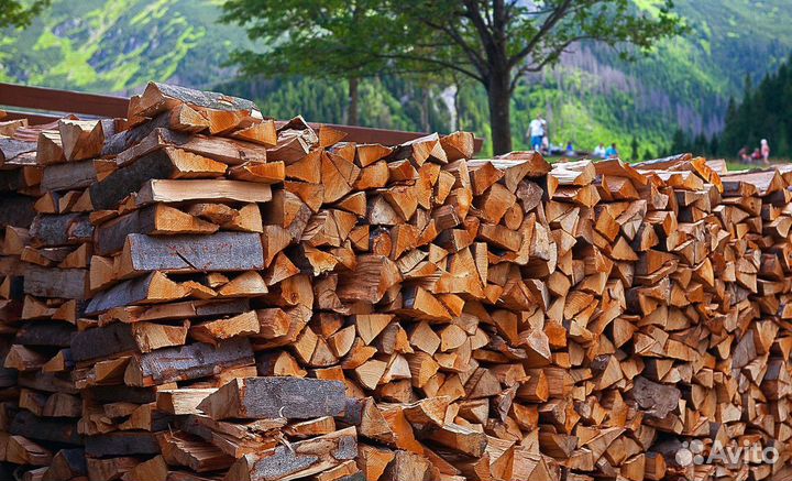 Дрова сухие ольха 100 упаковок