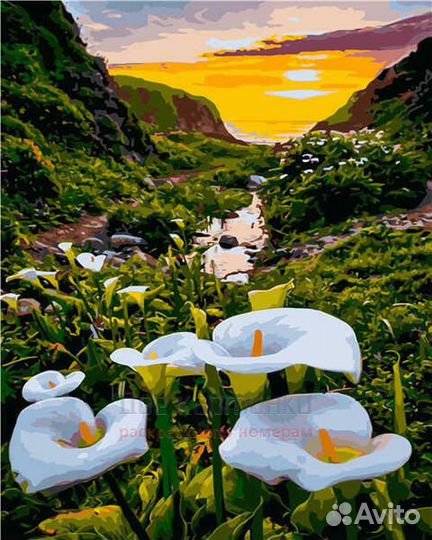 Картина по номерам 40x50 Белые каллы на фоне моря