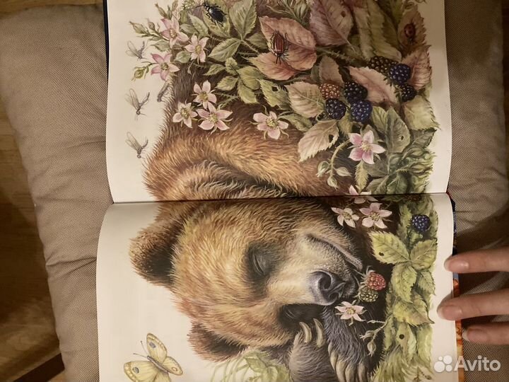 Детские книги. Мамин-Сибиряк. Алёнушкиеы сказки