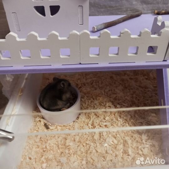 Клетка для грызунов большая