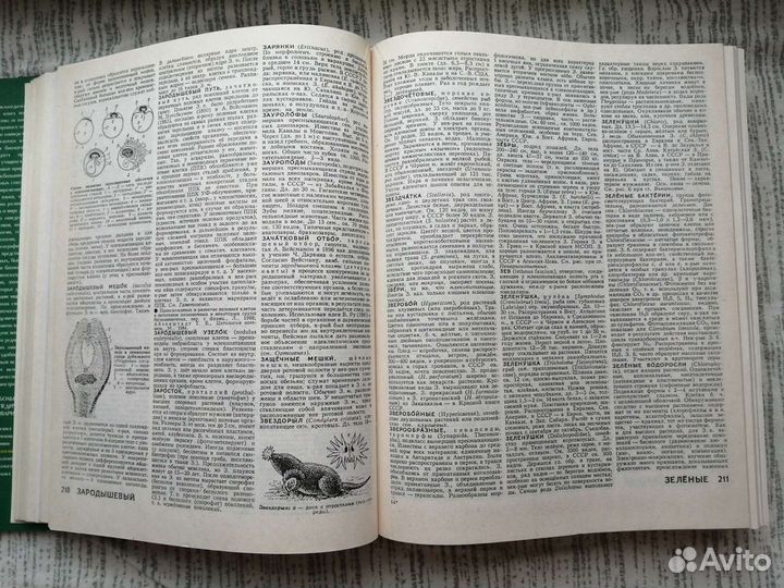 Большой энциклопедический словарь Биология