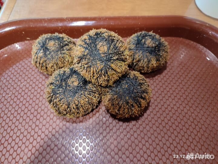 Аквариумные растения, рыбы, вабикусы