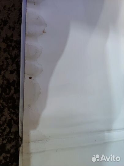 Загадочные и удивительные пауки. Энциклопедия